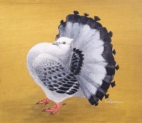 Shahjahan, 9 x 10 Inch, Acrylic on Card Board, Pigeon Painting, AC-SHJ-028